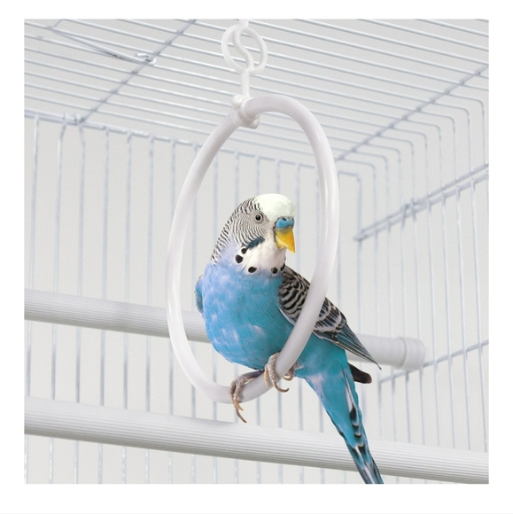 Bird Cage - Picture 10 of 10